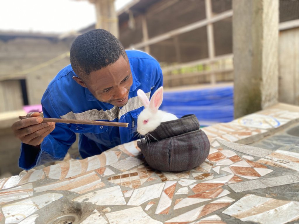 🐇 Rabbit Production - Otto'sFarms