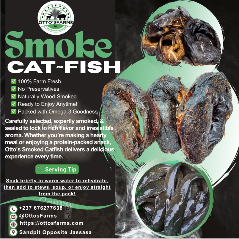 smoke catfish for sale