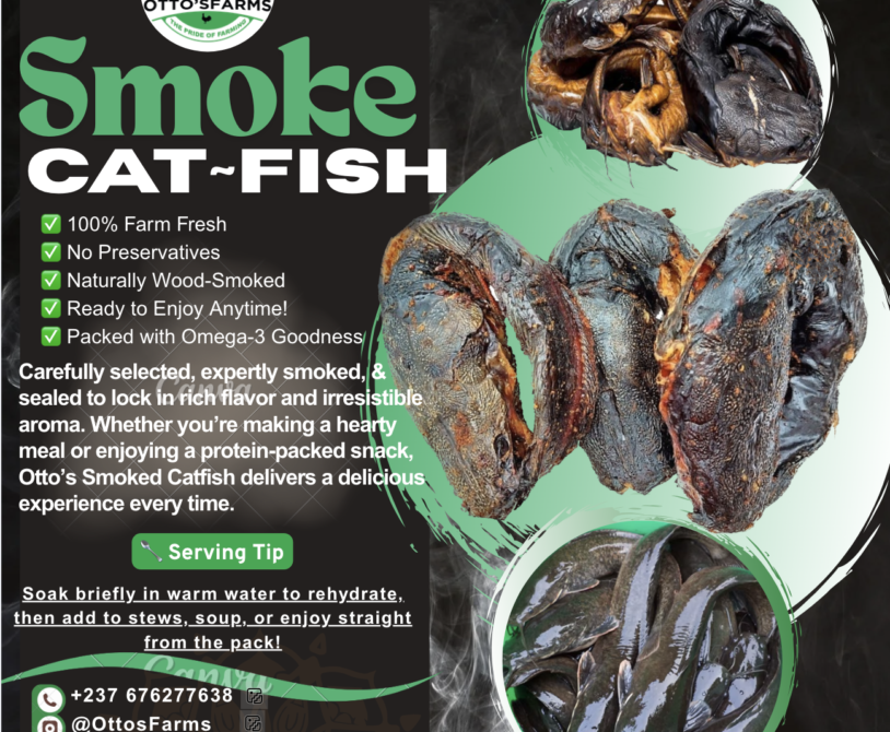 smoke catfish for sale