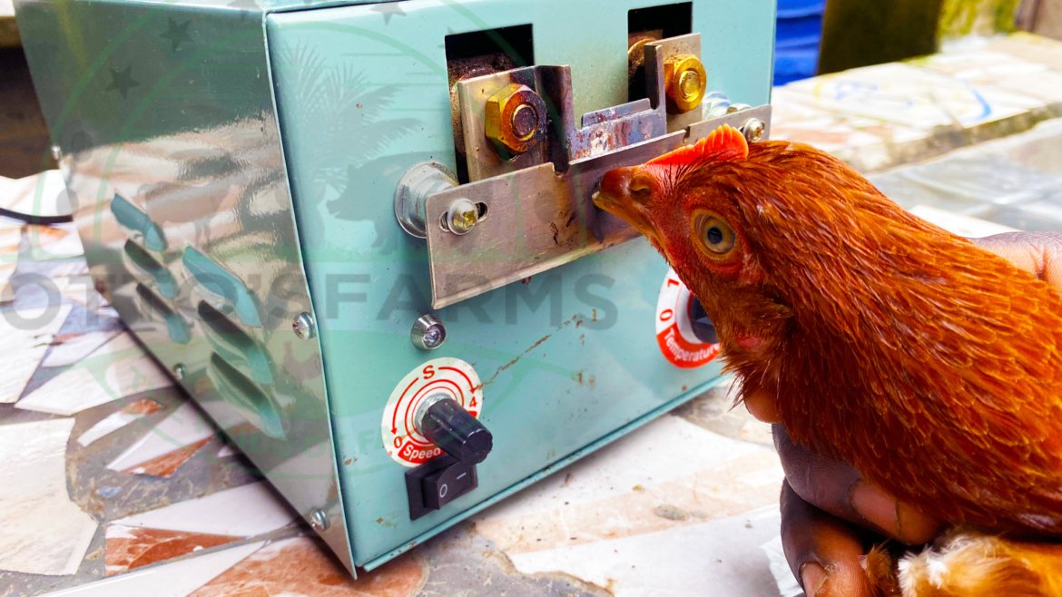 🐔 Debeaking Layers as a Service