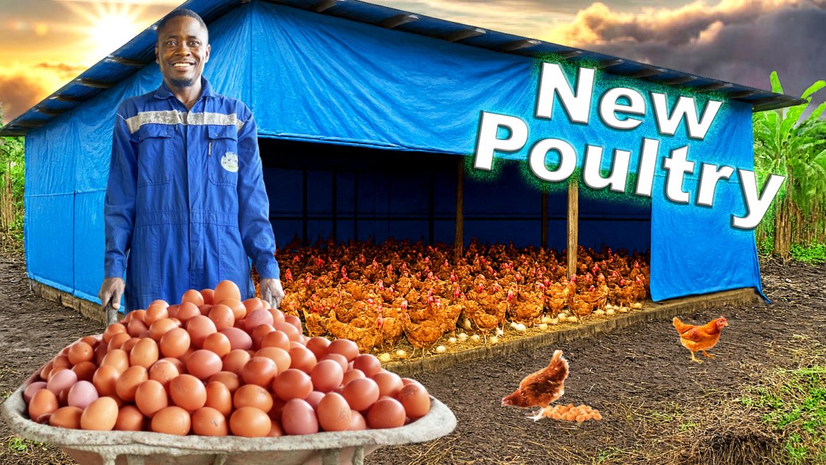 🌱 Agricultural Consultancy