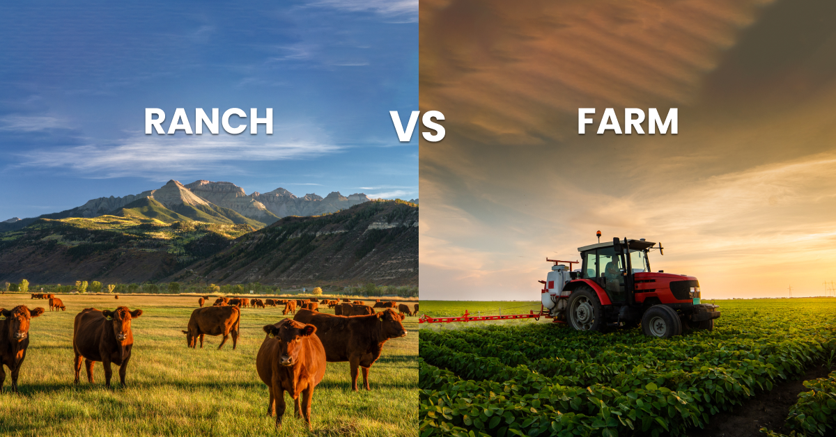What is The Difference Between a Ranch And a Farm