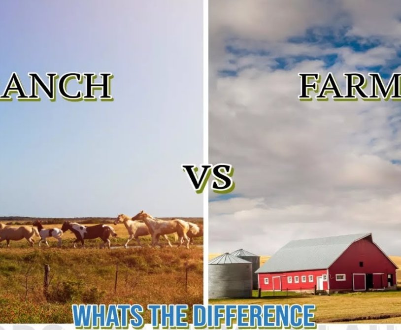What is The Difference Between a Ranch And a Farm