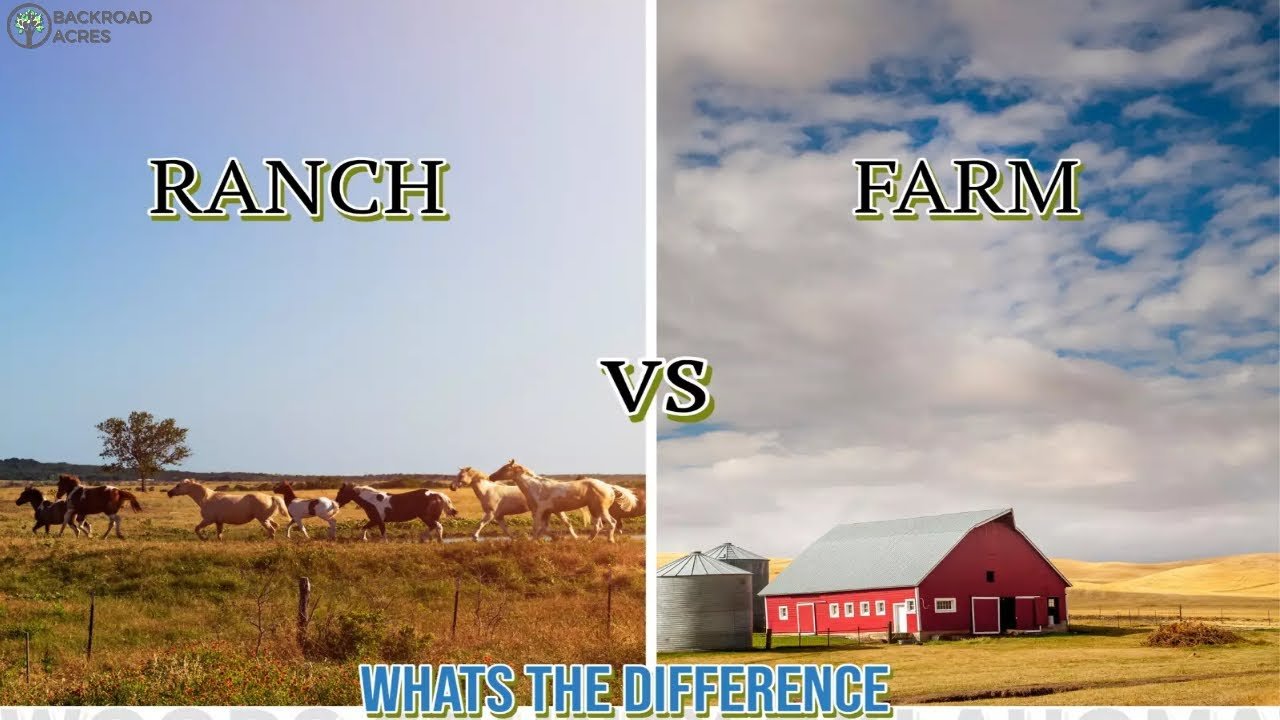 What is The Difference Between a Ranch And a Farm