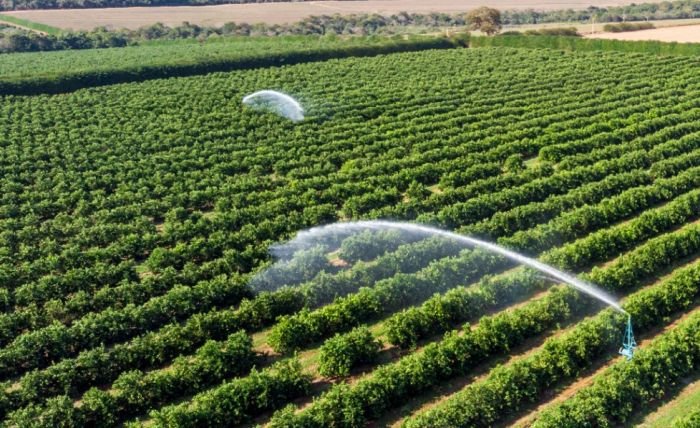 How Many Jobs are Available in Agricultural Chemicals