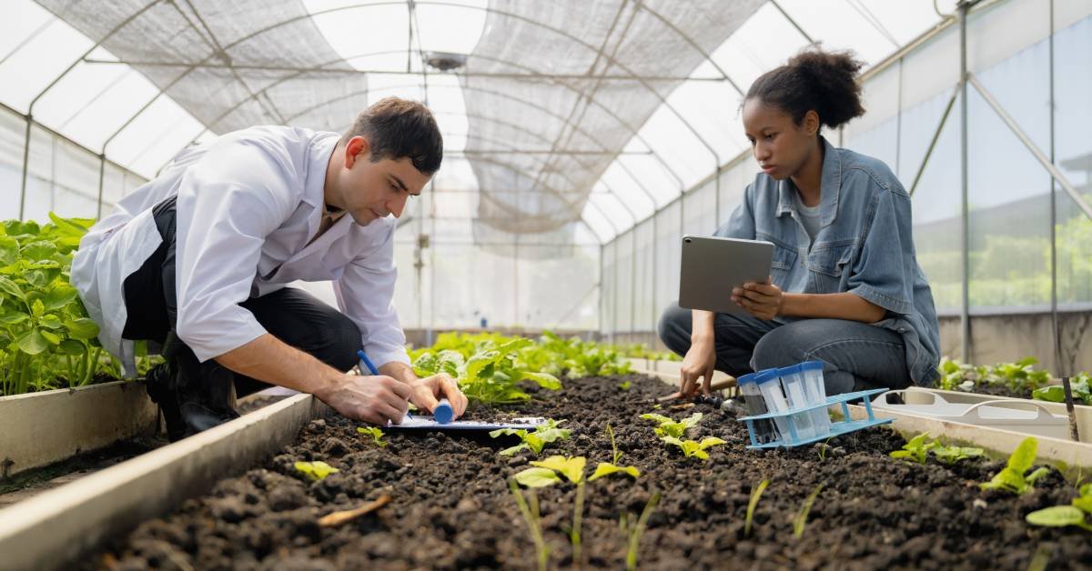 Agriculture vs Horticulture