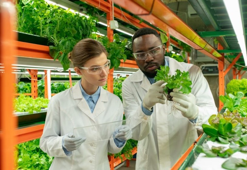 Is agricultural chemicals a good career path?