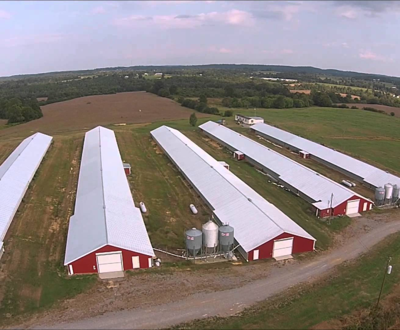 Locating Poultry Farms Near You