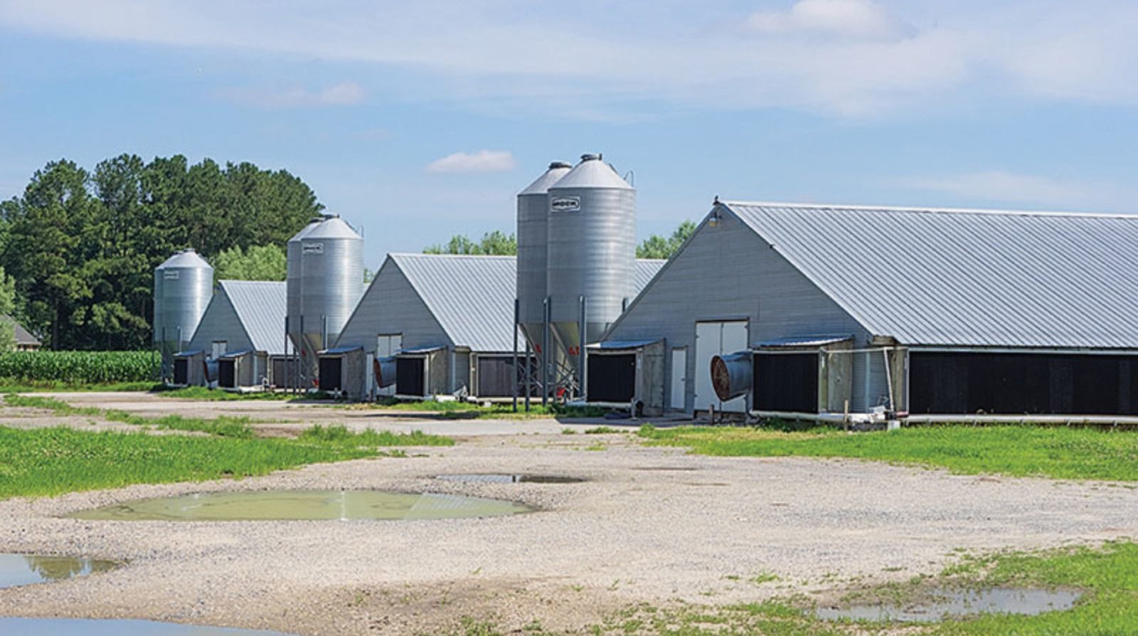 Locating Poultry Farms Near You