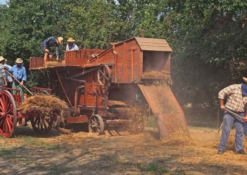 What was the second agricultural revolution?