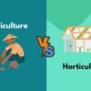 Agriculture vs Horticulture