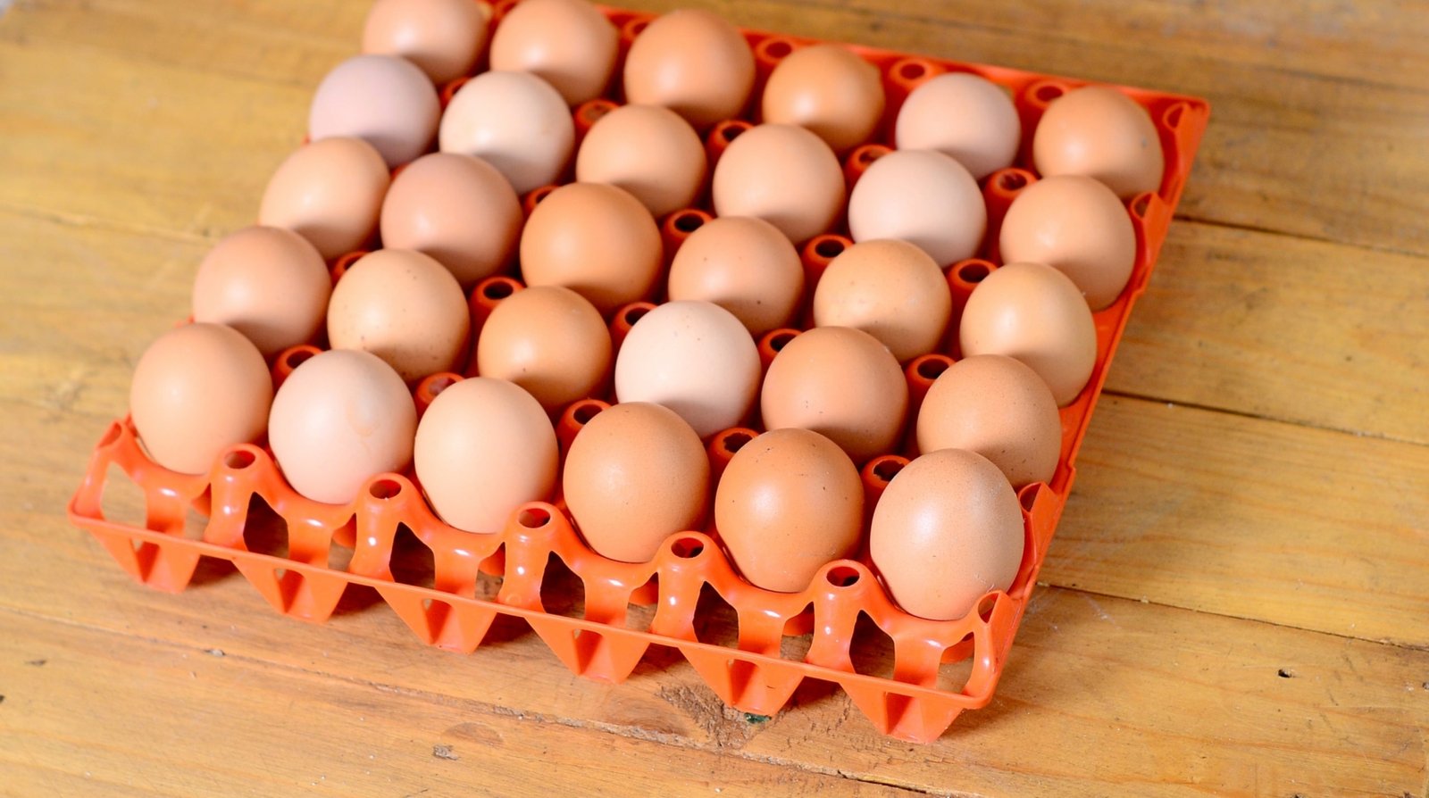 farm fresh eggs