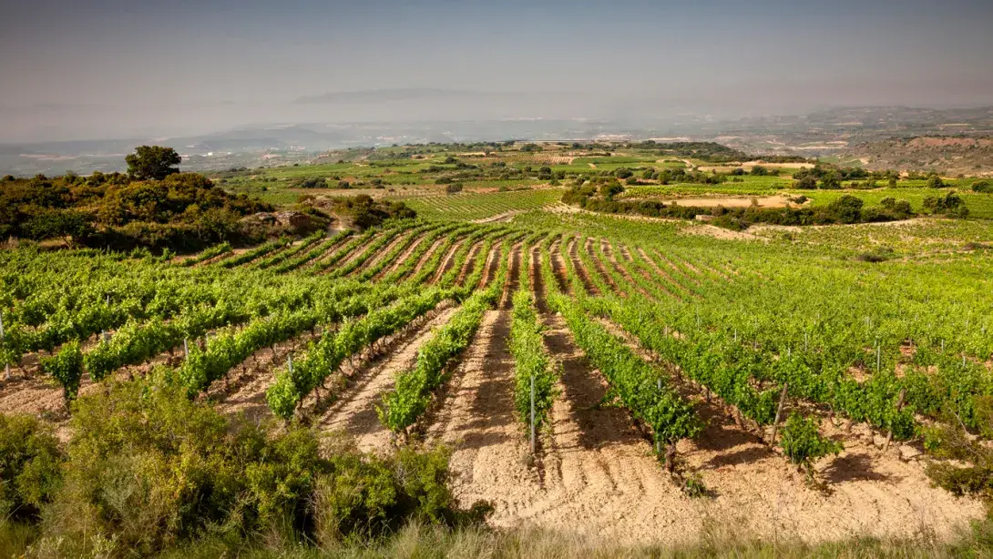 mediterranean agriculture