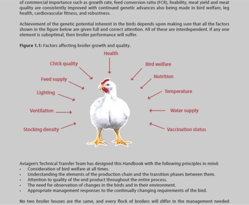 Broiler Chicken Growth: Key Factors at Each Stage