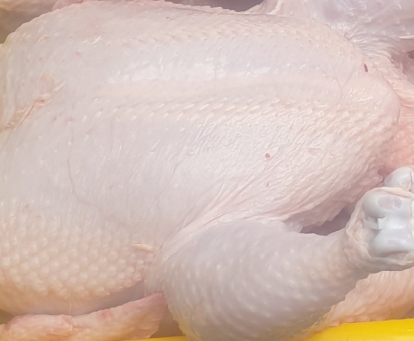 Broiler Chickens: Affordable Protein for Low-Income