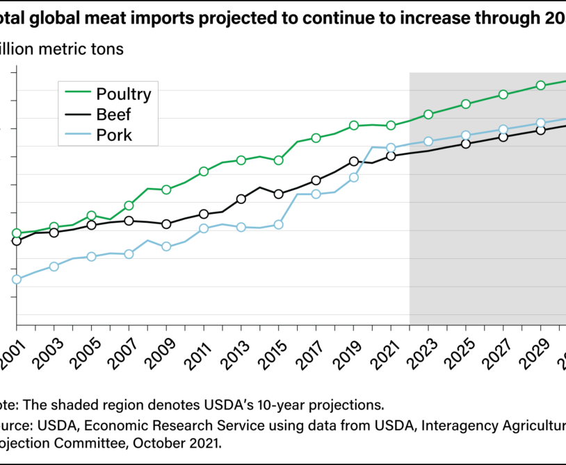 Broiler Chickens' Economic Impact on Global Poultry