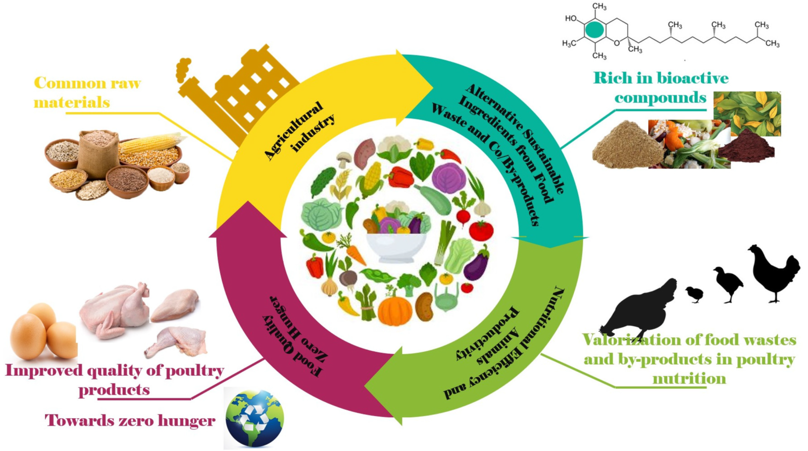 Incorporating Local Ingredients in Broiler Chicken Feed