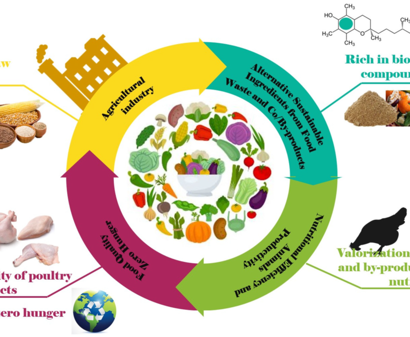 Incorporating Local Ingredients in Broiler Chicken Feed