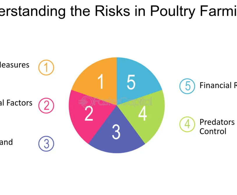 Managing Financial Risks in Broiler Chicken Farming