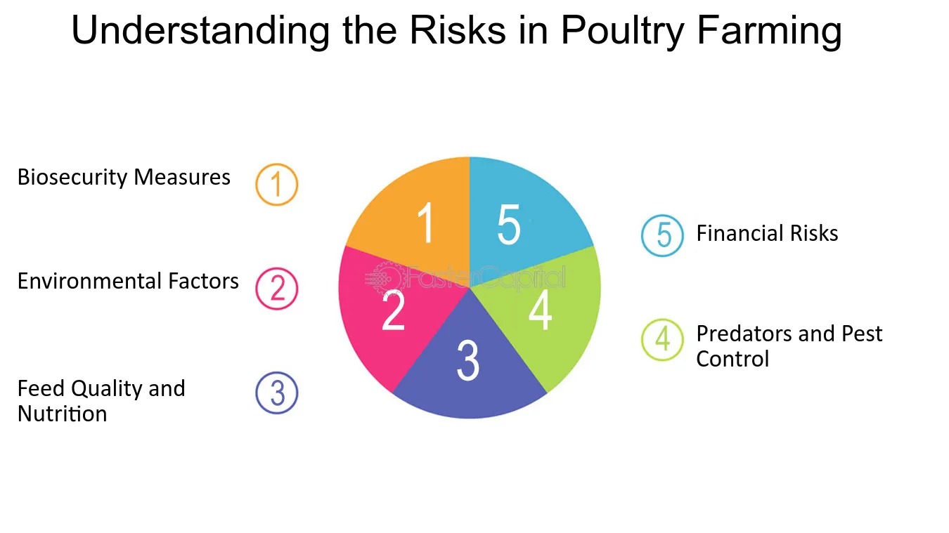 Managing Financial Risks in Broiler Chicken Farming