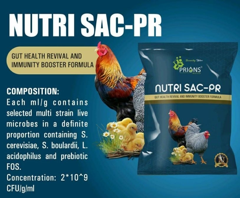 Probiotics and Prebiotics for Broiler Chicken Health