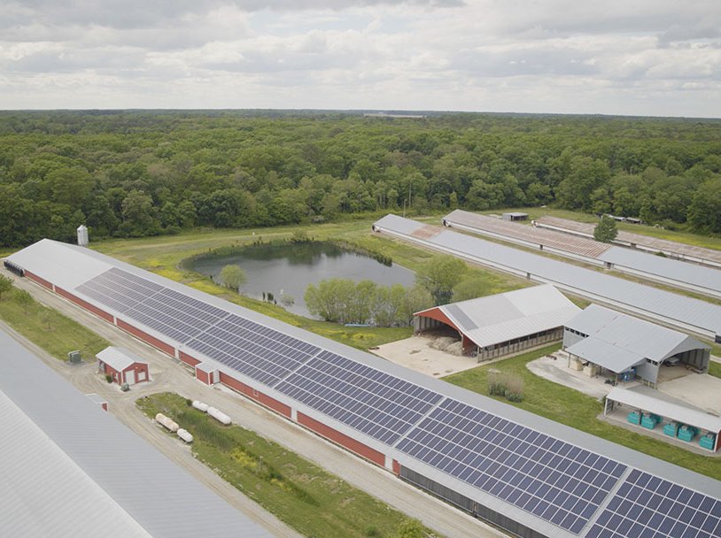 Renewable Energy in Sustainable Broiler Production