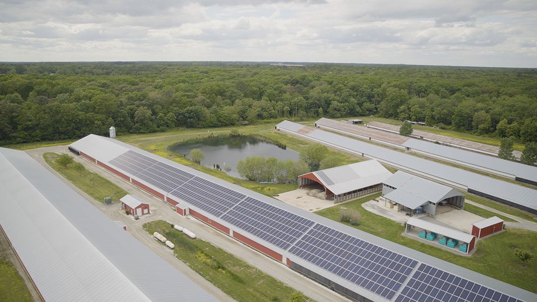 Renewable Energy in Sustainable Broiler Production