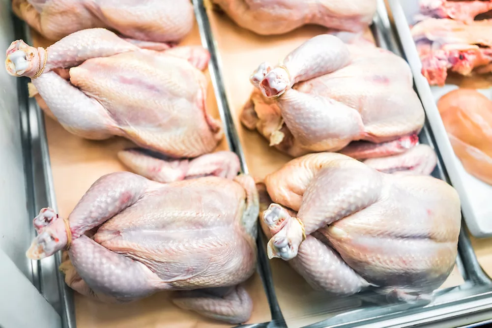 Targeting Key Markets for Broiler Chicken Meat