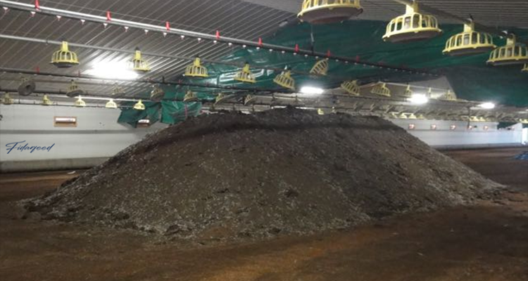 The Role of Waste Management in Reducing the Environmental Impact of Broiler Farms