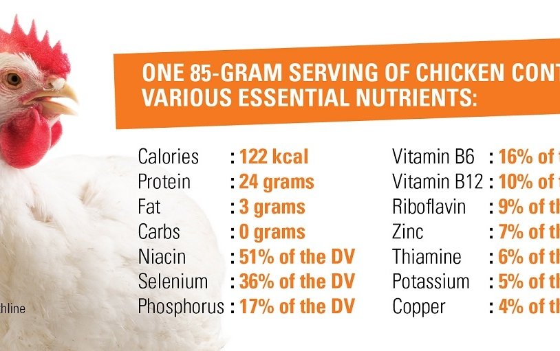 Vitamins and Minerals for Broiler Chicken Health