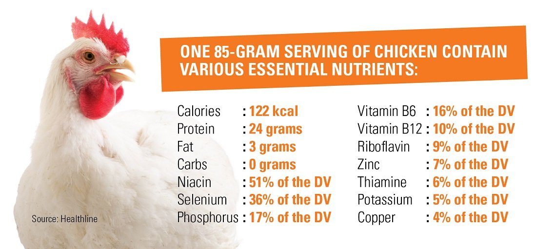Vitamins and Minerals for Broiler Chicken Health