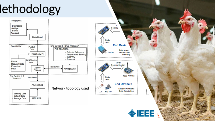 IoT sensor network in poultry farm