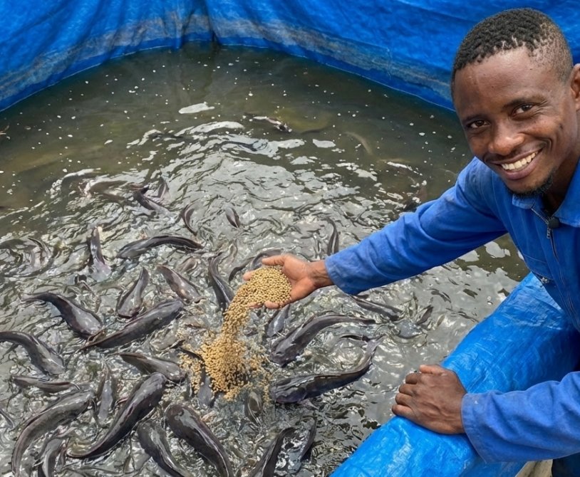Catfish Farming Startup Cost Guide