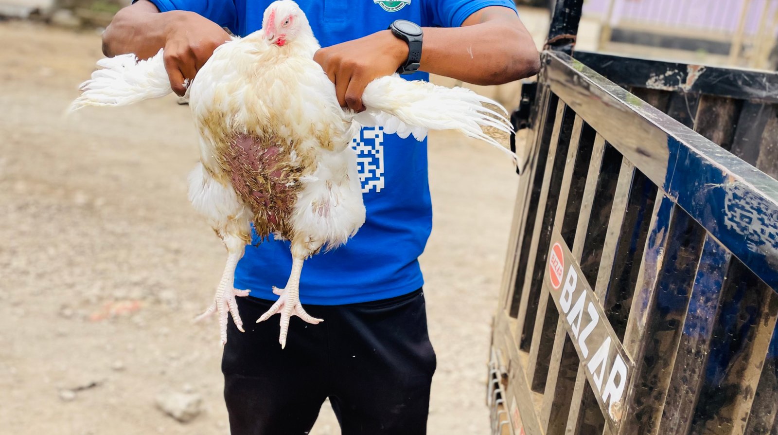 A display of our Healthy broiler