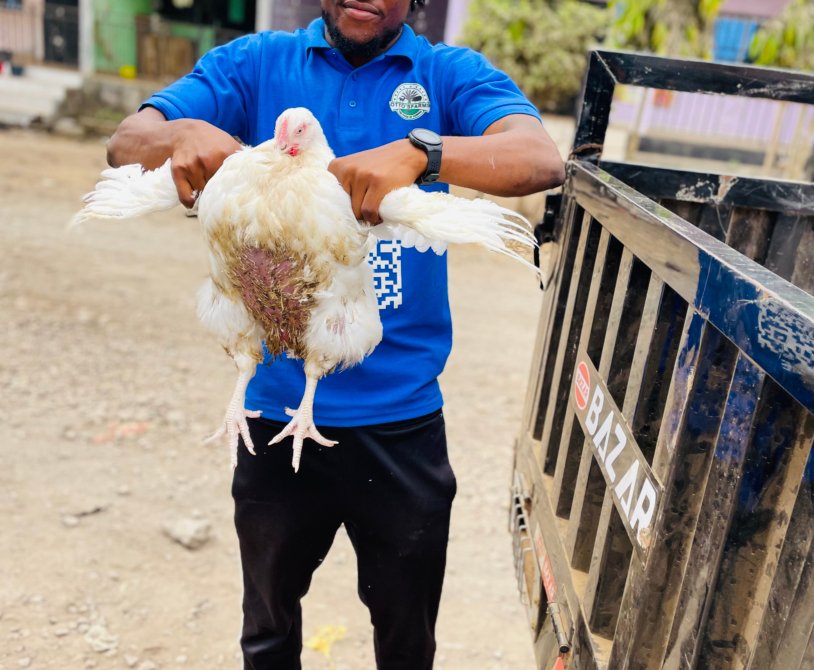 A display of our Healthy broiler