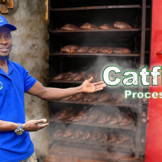 Processed catfish