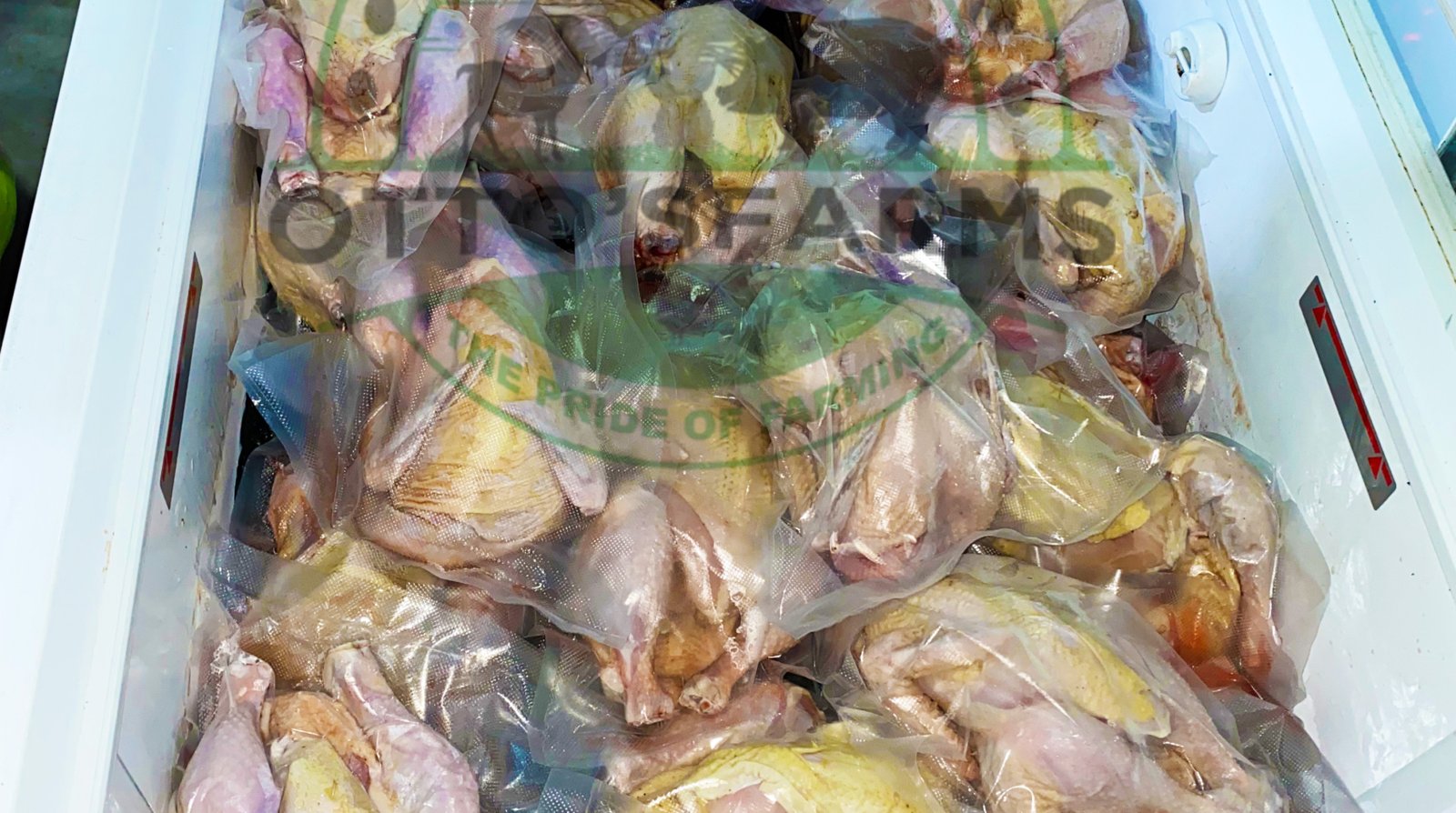 Processed chicken in the freezer