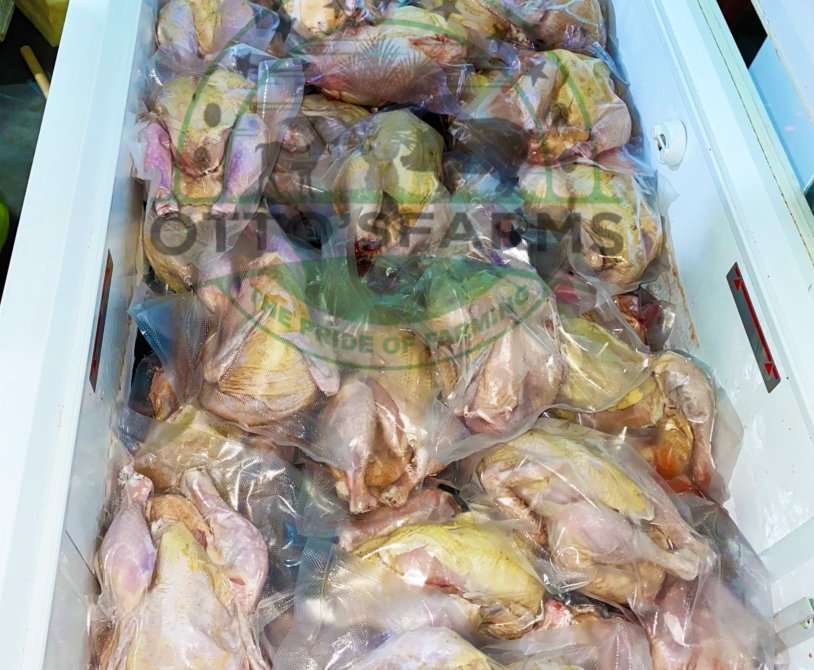 Processed chicken in the freezer