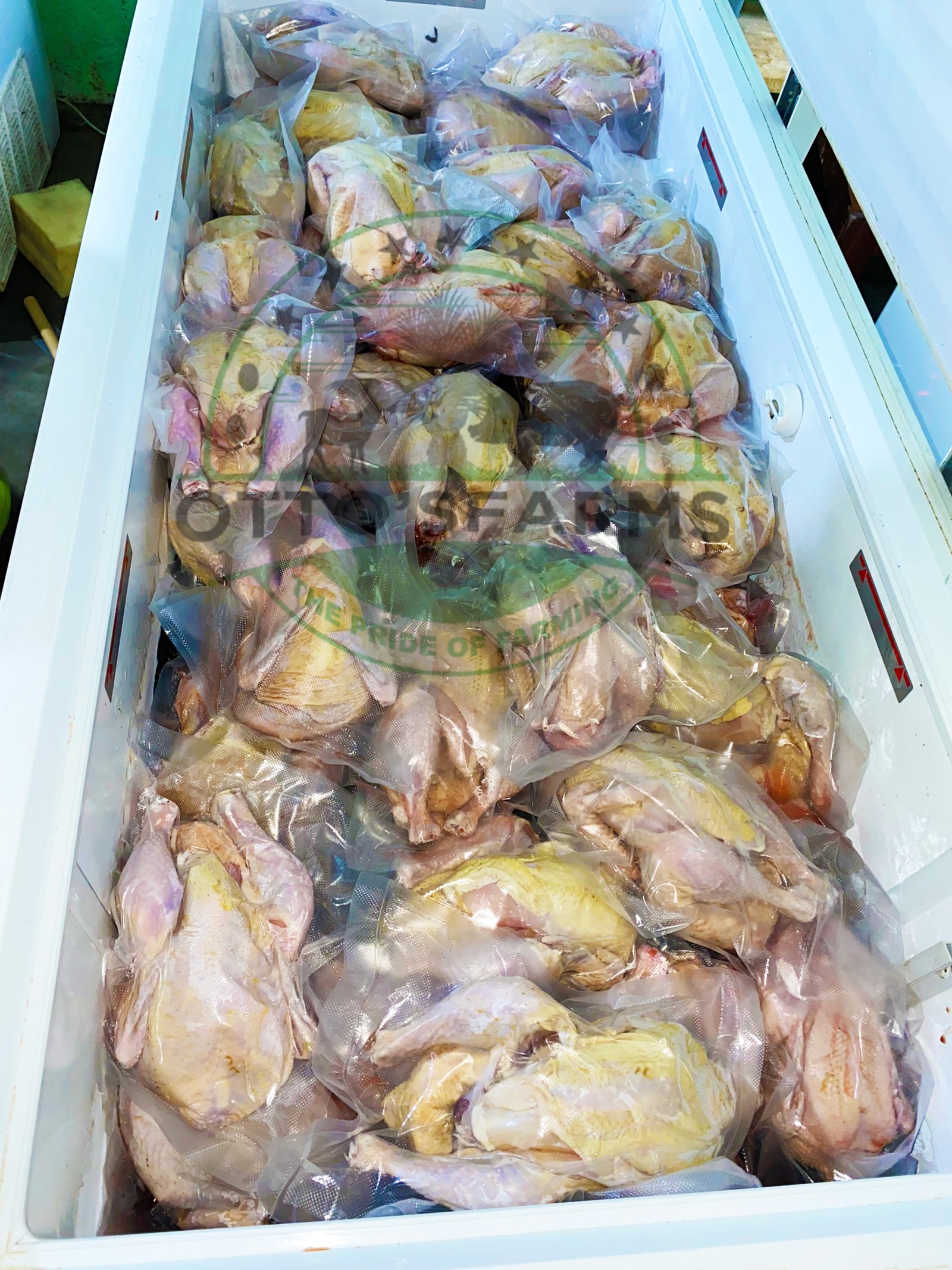 Processed chicken in the freezer