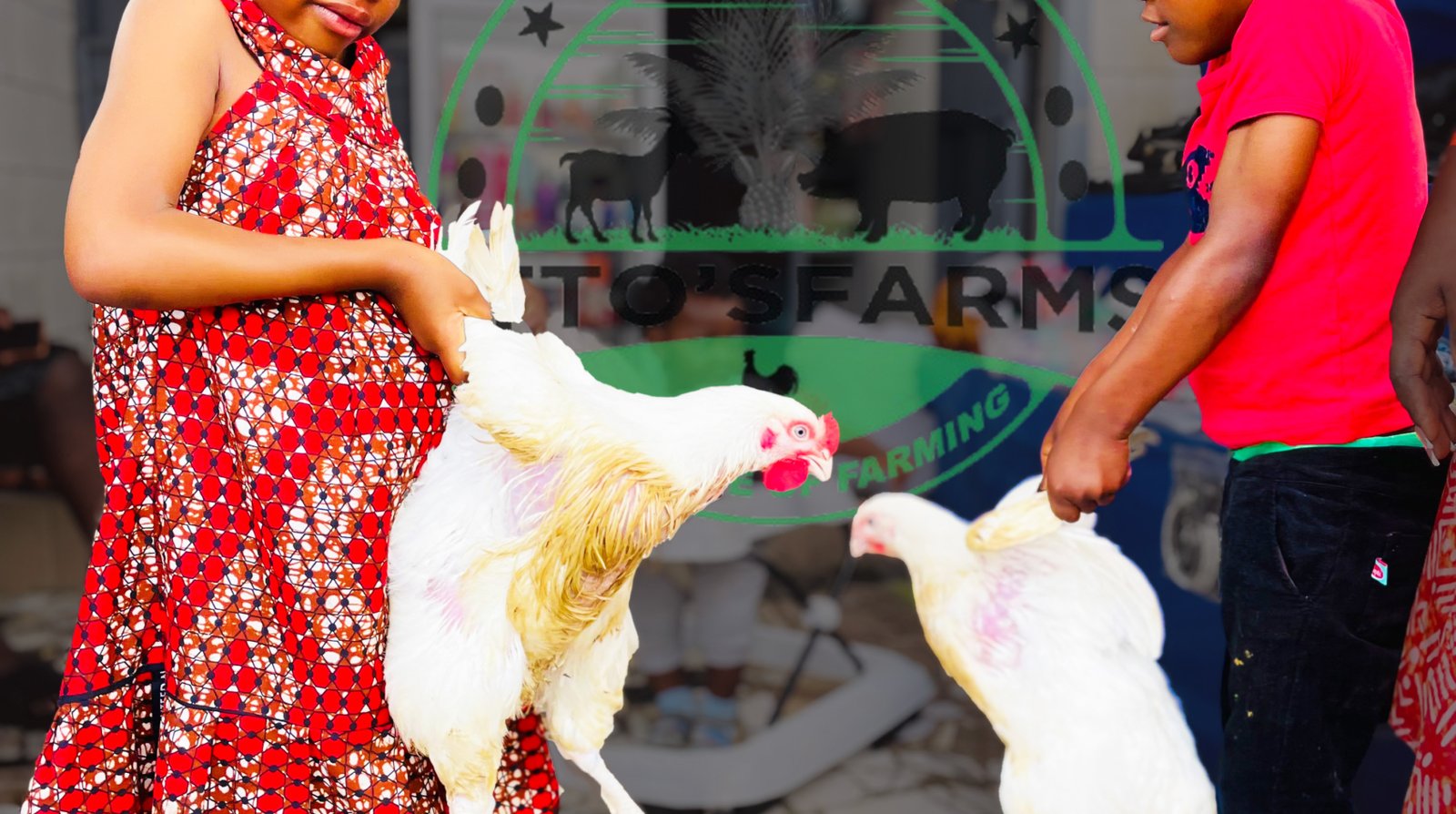 children chicking our our healthy broiler