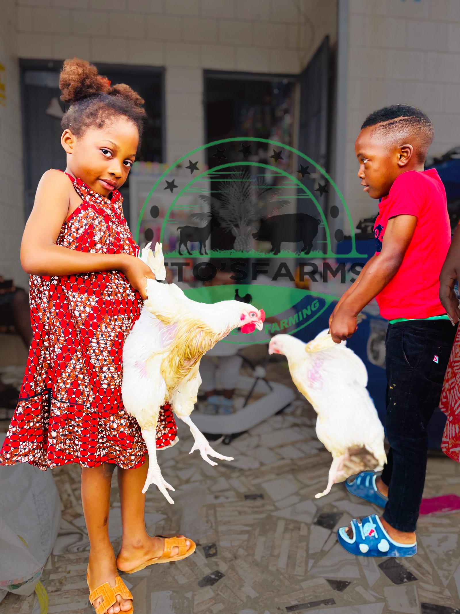 children chicking our our healthy broiler