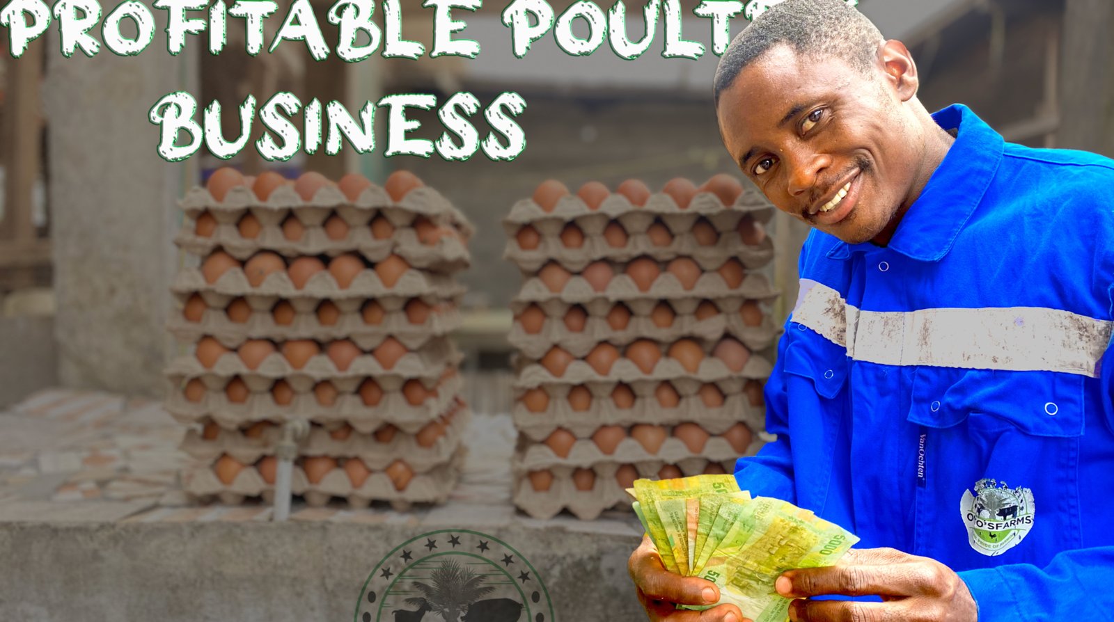 Ottosfarms eggs production business a profitable venture