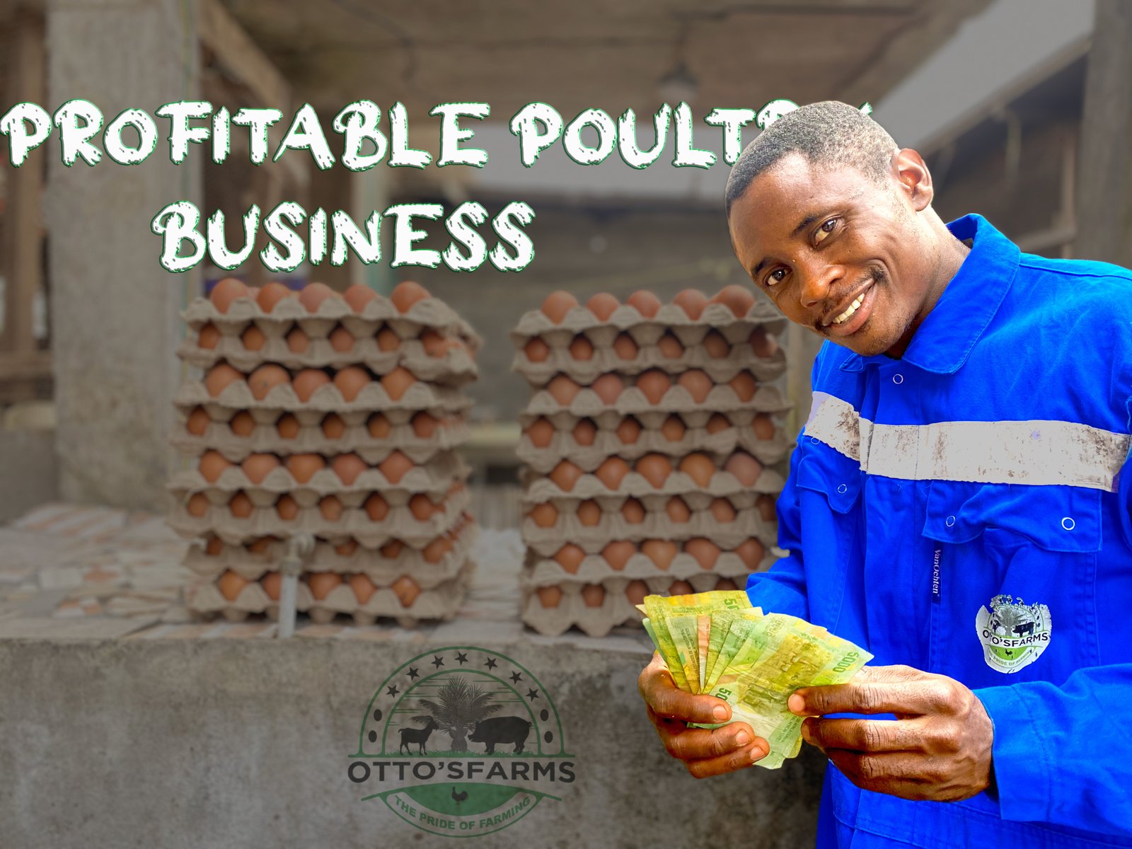 Ottosfarms eggs production business a profitable venture