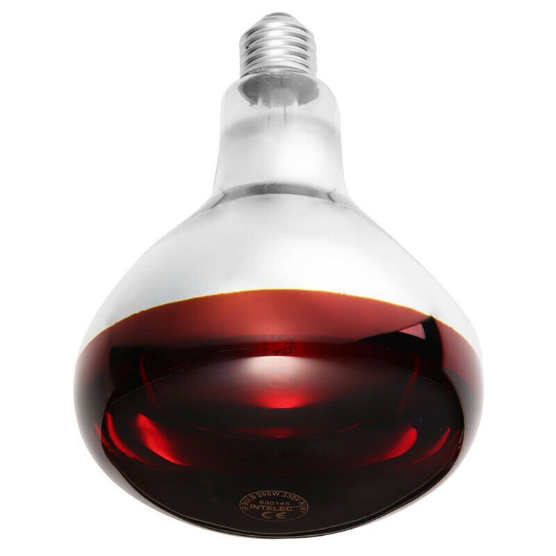 Infrared Red Heat Light Lamp For Farm & Animals