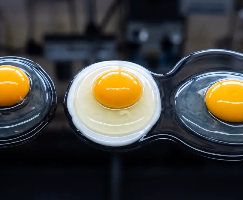 Layer Chicken: Managing Internal Egg Quality — Haugh Units and Yolk Strength